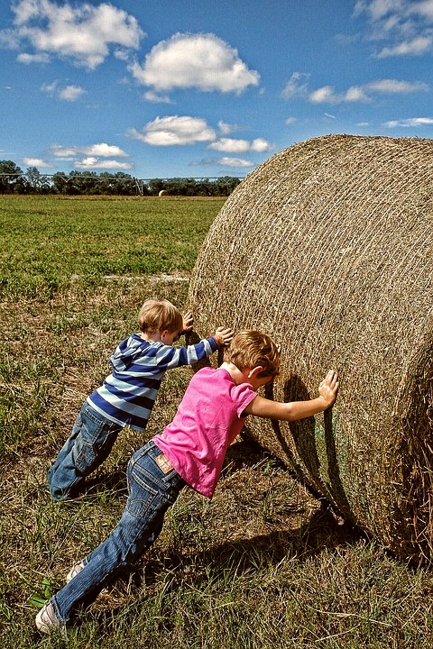 How you can get involved