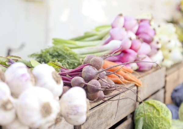 Let's Fund Umm Firdaus' Veggie Stand